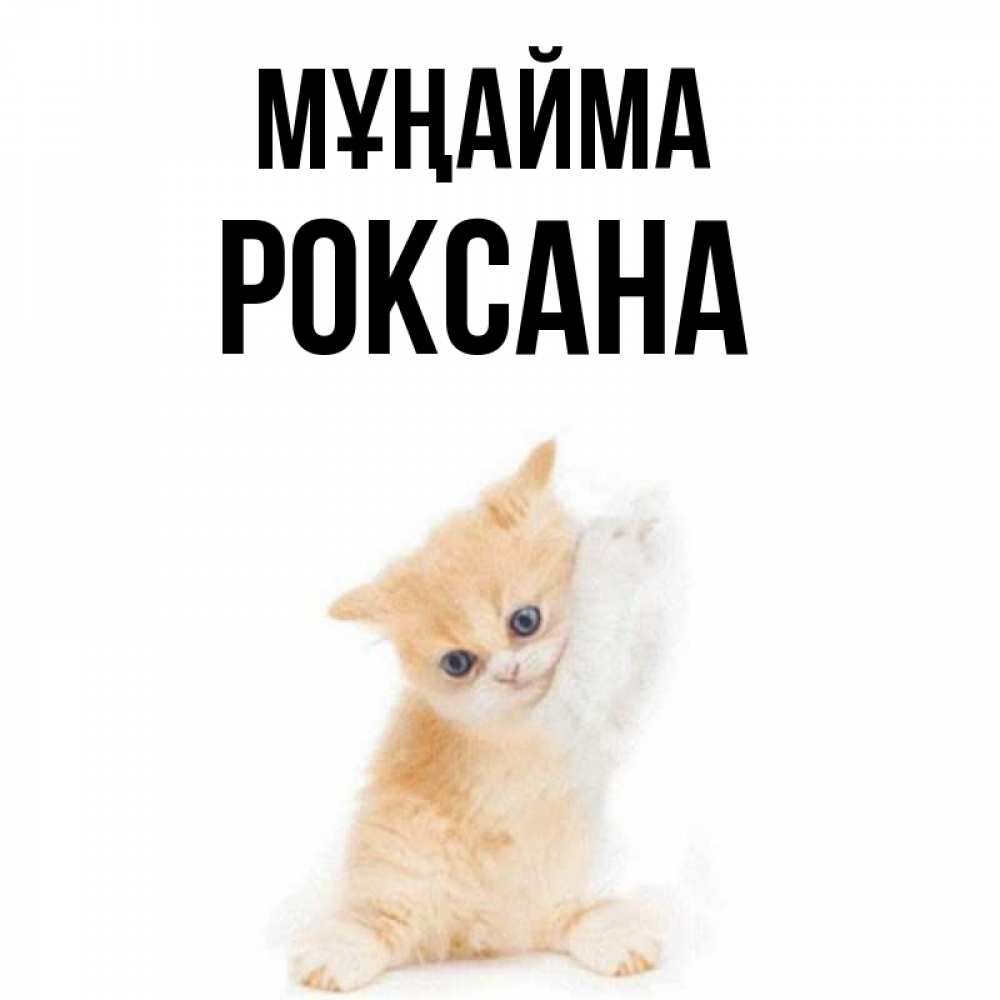 Күн сайын ашық хат с именем, Роксана Мұңайма просящий кот Онлайн тегін жүктеп алу тілектері бар керемет карта 