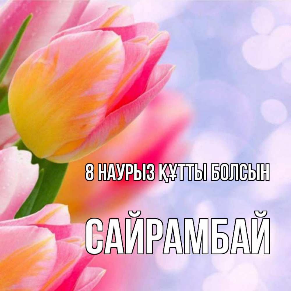 Күн сайын ашық хат с именем, САЙРАМБАЙ 8 наурыз құтты болсын тюльпаны 2 Онлайн тегін жүктеп алу тілектері бар керемет карта 