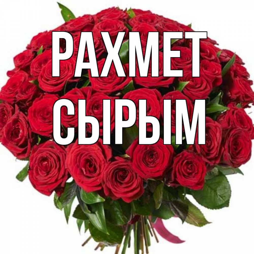 Күн сайын ашық хат с именем, СЫРЫМ рахмет букет красных роз Онлайн тегін жүктеп алу тілектері бар керемет карта 