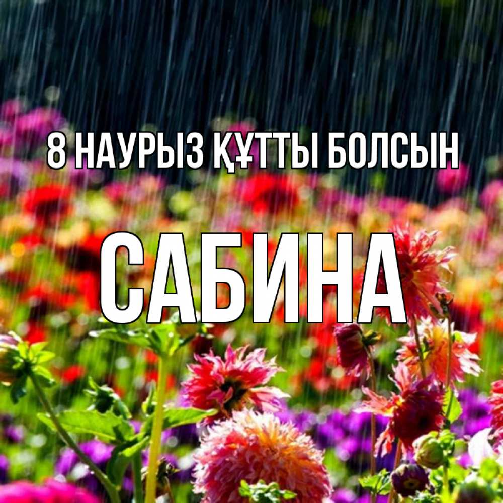 Күн сайын ашық хат с именем, Сабина 8 наурыз құтты болсын цветы под дождиком к международному женскому дню Онлайн тегін жүктеп алу тілектері бар керемет карта 