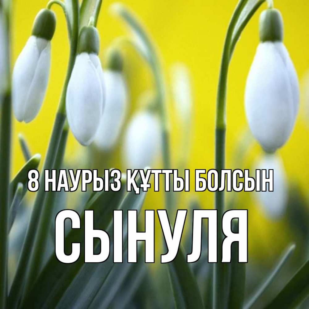 Күн сайын ашық хат с именем, Сынуля 8 наурыз құтты болсын весенние цветы Онлайн тегін жүктеп алу тілектері бар керемет карта 
