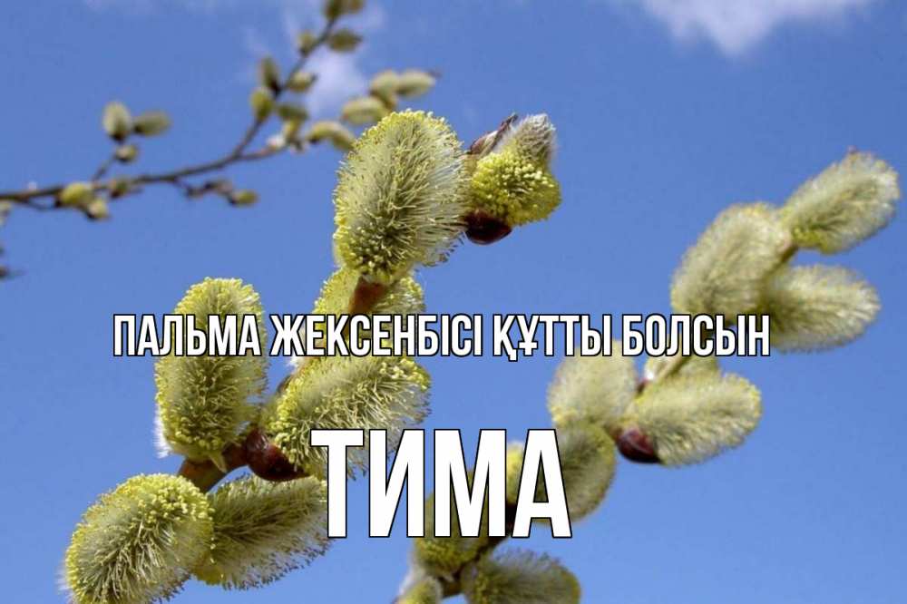Күн сайын ашық хат с именем, Тима Пальма жексенбісі құтты болсын верба Онлайн тегін жүктеп алу тілектері бар керемет карта 