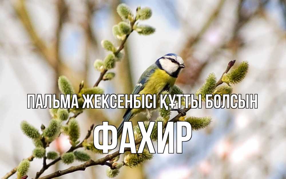 Күн сайын ашық хат с именем, ФАХИР Пальма жексенбісі құтты болсын верба Онлайн тегін жүктеп алу тілектері бар керемет карта 