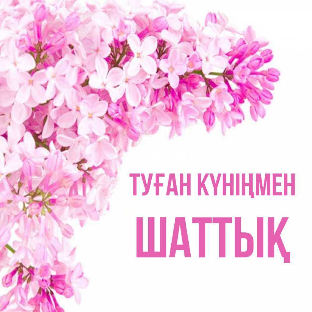 Күн сайын ашық хат с именем, ШАТТЫҚ Туған күніңмен Сирень на белом фоне Онлайн тегін жүктеп алу тілектері бар керемет карта 