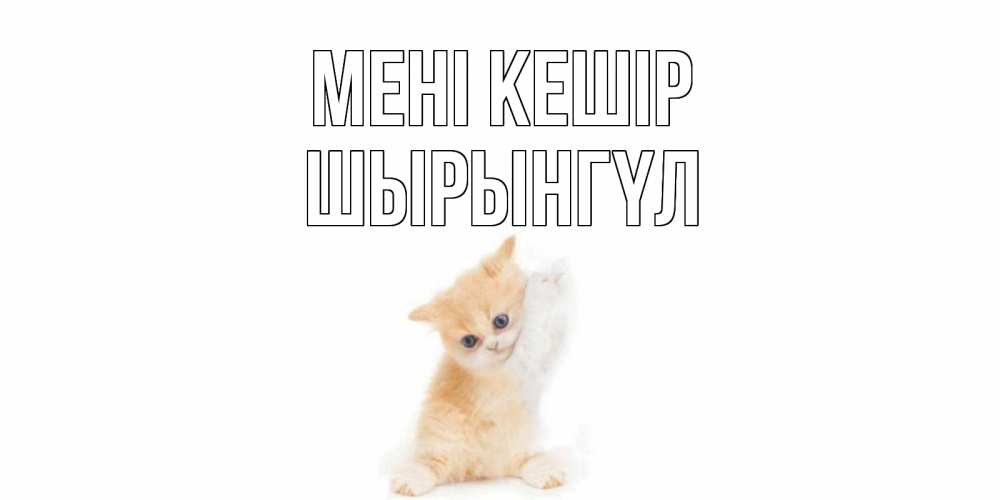 Күн сайын ашық хат с именем, ШЫРЫНГҮЛ Мені кешір кот Онлайн тегін жүктеп алу тілектері бар керемет карта 