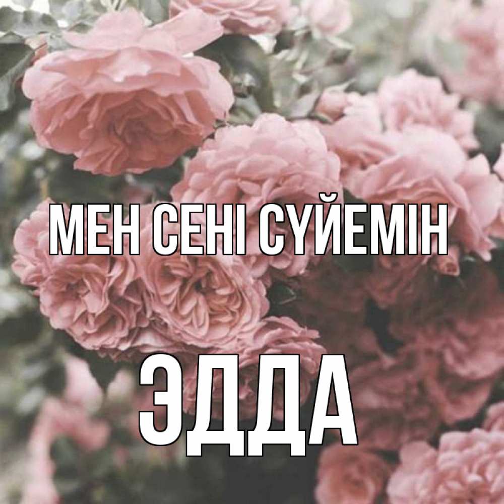 Күн сайын ашық хат с именем, Эдда Мен сені сүйемін розы 3 Онлайн тегін жүктеп алу тілектері бар керемет карта 