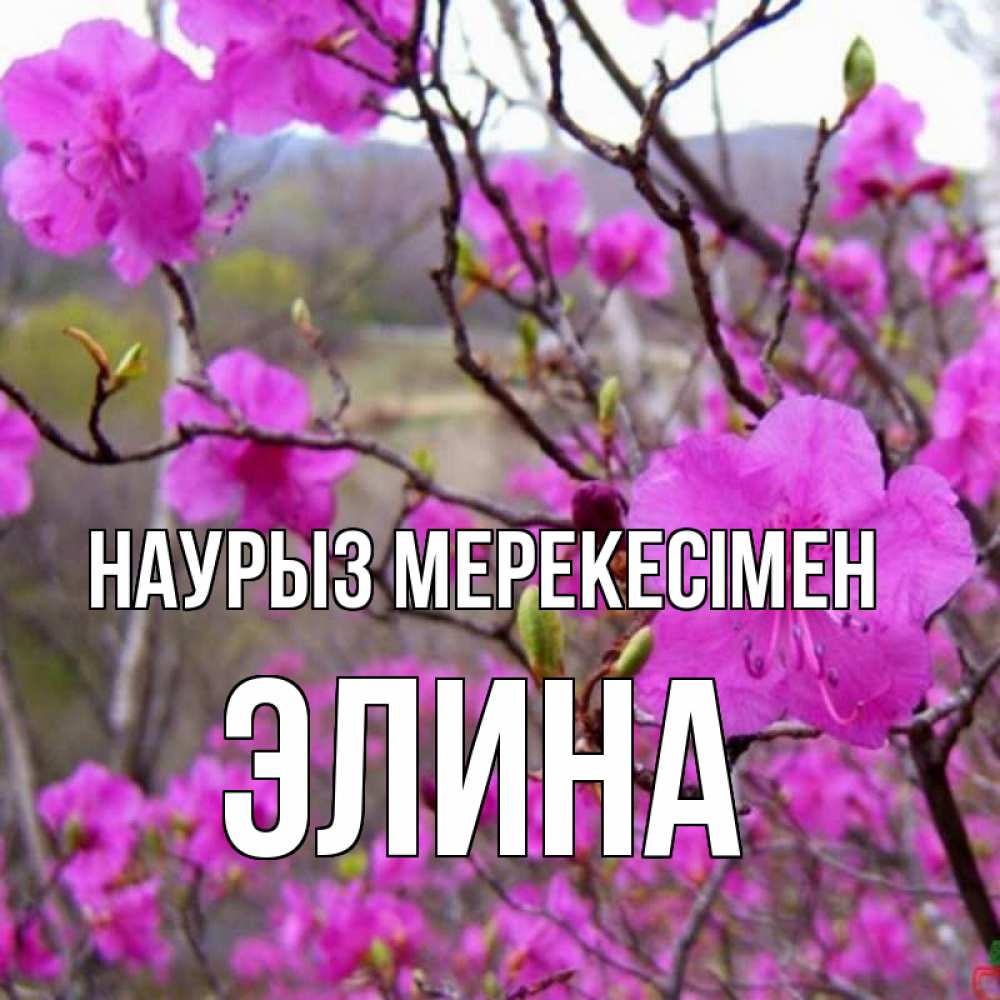 Күн сайын ашық хат с именем, Элина Наурыз мерекесімен праздник весны наурыз Онлайн тегін жүктеп алу тілектері бар керемет карта 