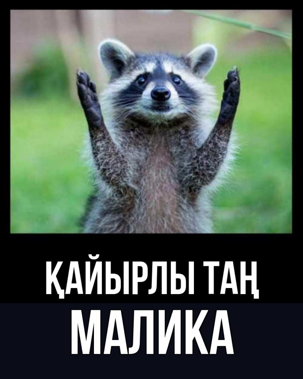 Күн сайын ашық хат с именем, Малика Қайырлы таң хорошее настроение утречком Онлайн тегін жүктеп алу тілектері бар керемет карта 