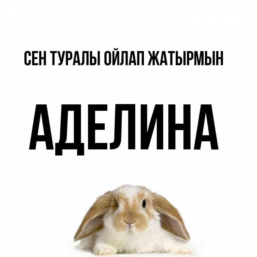 Күн сайын ашық хат с именем, Аделина Сен туралы ойлап жатырмын подписать своими руками онлайн Онлайн тегін жүктеп алу тілектері бар керемет карта 