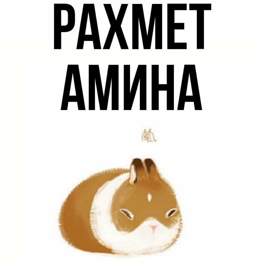 Күн сайын ашық хат с именем, Амина рахмет коричнево белый домашний питомец Онлайн тегін жүктеп алу тілектері бар керемет карта 