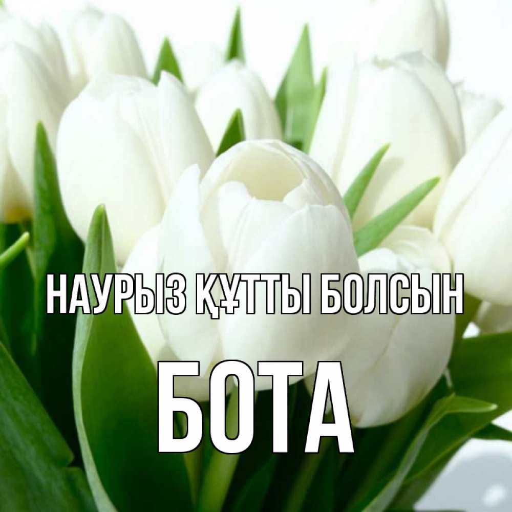 Күн сайын ашық хат с именем, БОТА Наурыз құтты болсын цветы Онлайн тегін жүктеп алу тілектері бар керемет карта 