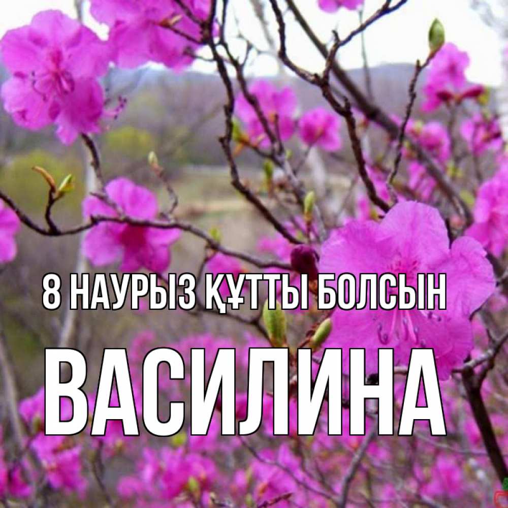 Күн сайын ашық хат с именем, Василина 8 наурыз құтты болсын международный женский день Онлайн тегін жүктеп алу тілектері бар керемет карта 