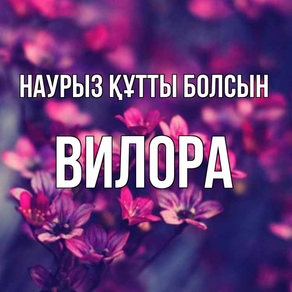 Күн сайын ашық хат с именем, Вилора Наурыз құтты болсын небольшие цветы 1 Онлайн тегін жүктеп алу тілектері бар керемет карта 