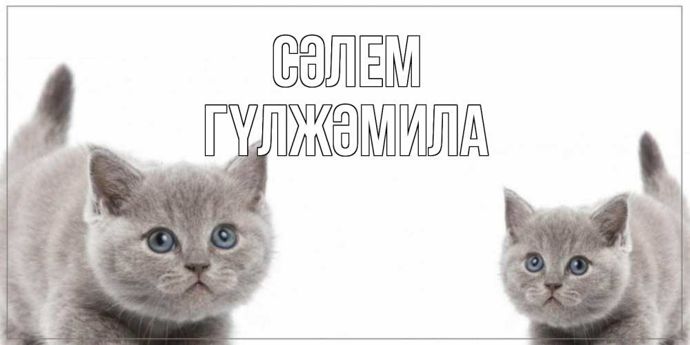 Күн сайын ашық хат с именем, ГҮЛЖӘМИЛА Сәлем коты Онлайн тегін жүктеп алу тілектері бар керемет карта 