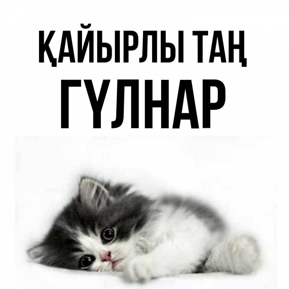 Күн сайын ашық хат с именем, ГҮЛНАР Қайырлы таң кот лапки Онлайн тегін жүктеп алу тілектері бар керемет карта 