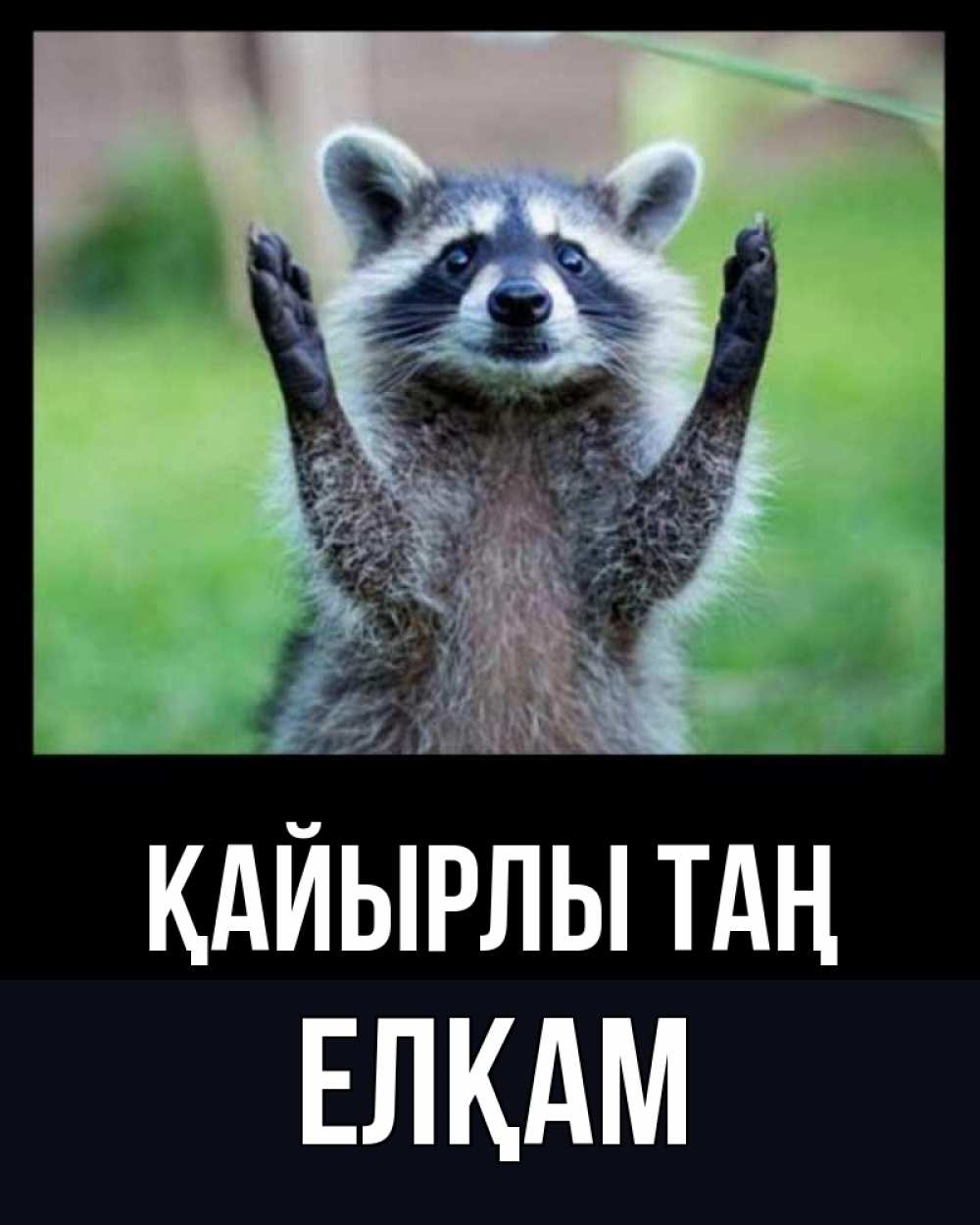 Күн сайын ашық хат с именем, Елқам Қайырлы таң хорошее настроение утречком Онлайн тегін жүктеп алу тілектері бар керемет карта 