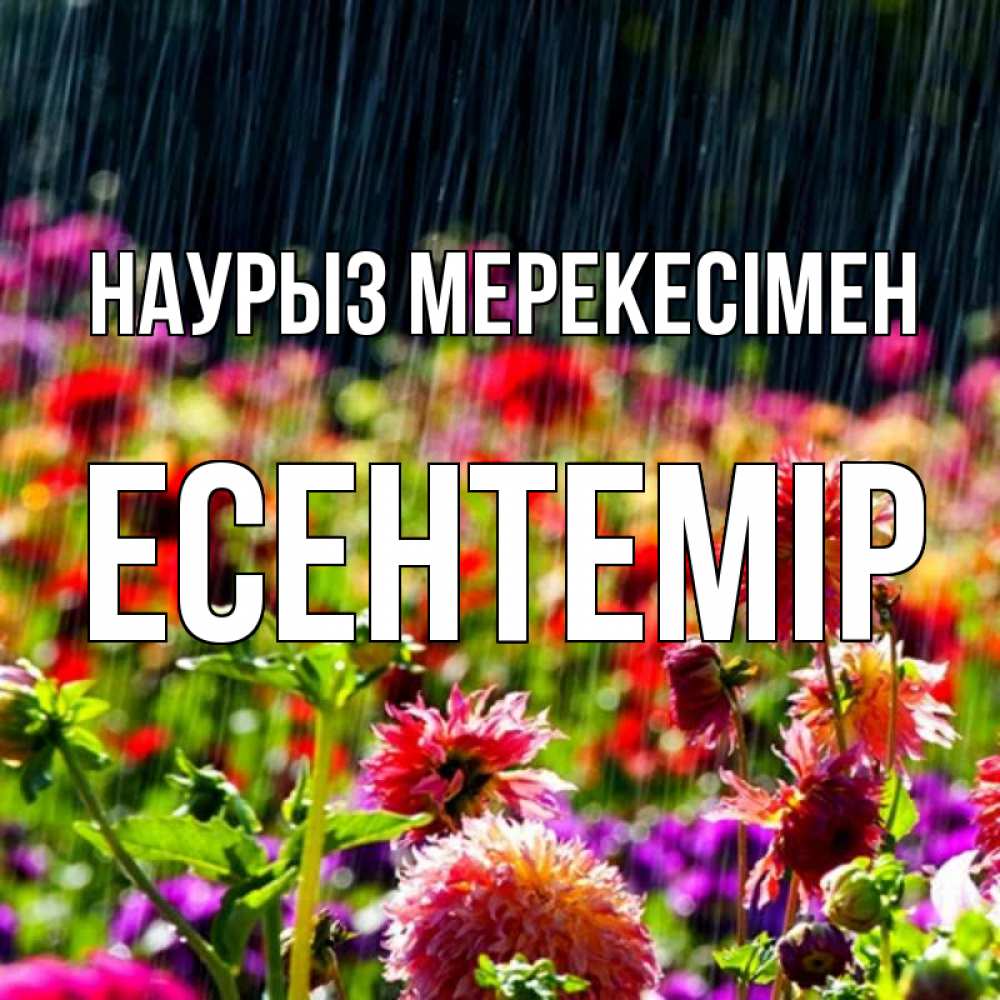 Күн сайын ашық хат с именем, Есентемір Наурыз мерекесімен цветы под дождиком к международному женскому дню Онлайн тегін жүктеп алу тілектері бар керемет карта 