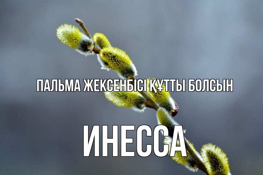 Күн сайын ашық хат с именем, Инесса Пальма жексенбісі құтты болсын верба Онлайн тегін жүктеп алу тілектері бар керемет карта 