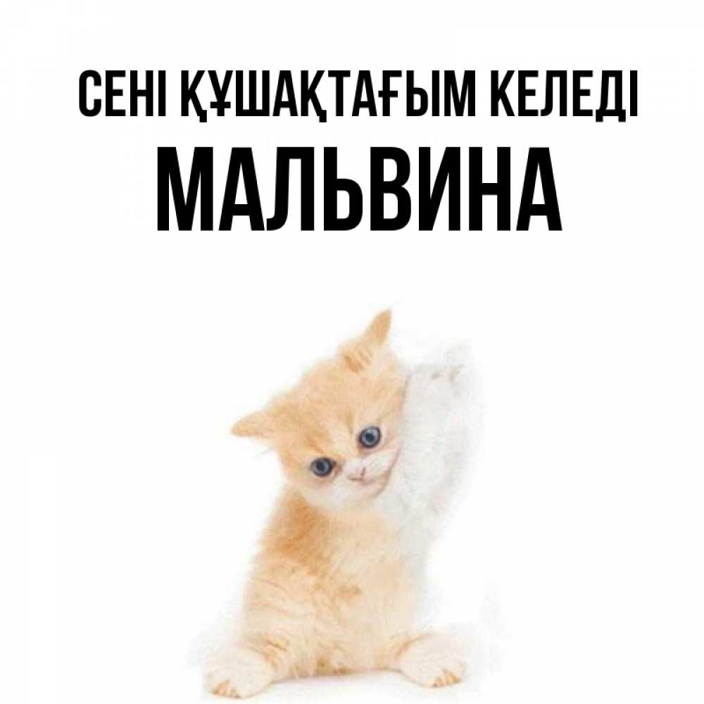 Күн сайын ашық хат с именем, Мальвина сені құшақтағым келеді я хочу очень скорее обнимаешек Онлайн тегін жүктеп алу тілектері бар керемет карта 