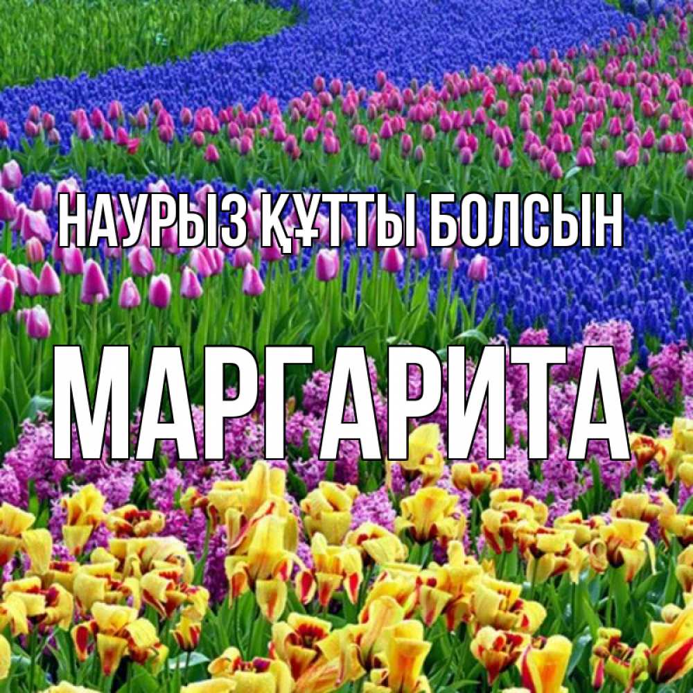 Күн сайын ашық хат с именем, Маргарита Наурыз құтты болсын цветы Онлайн тегін жүктеп алу тілектері бар керемет карта 