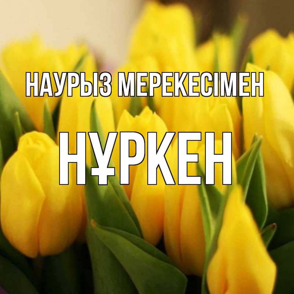 Күн сайын ашық хат с именем, Нұркен Наурыз мерекесімен цветы Онлайн тегін жүктеп алу тілектері бар керемет карта 