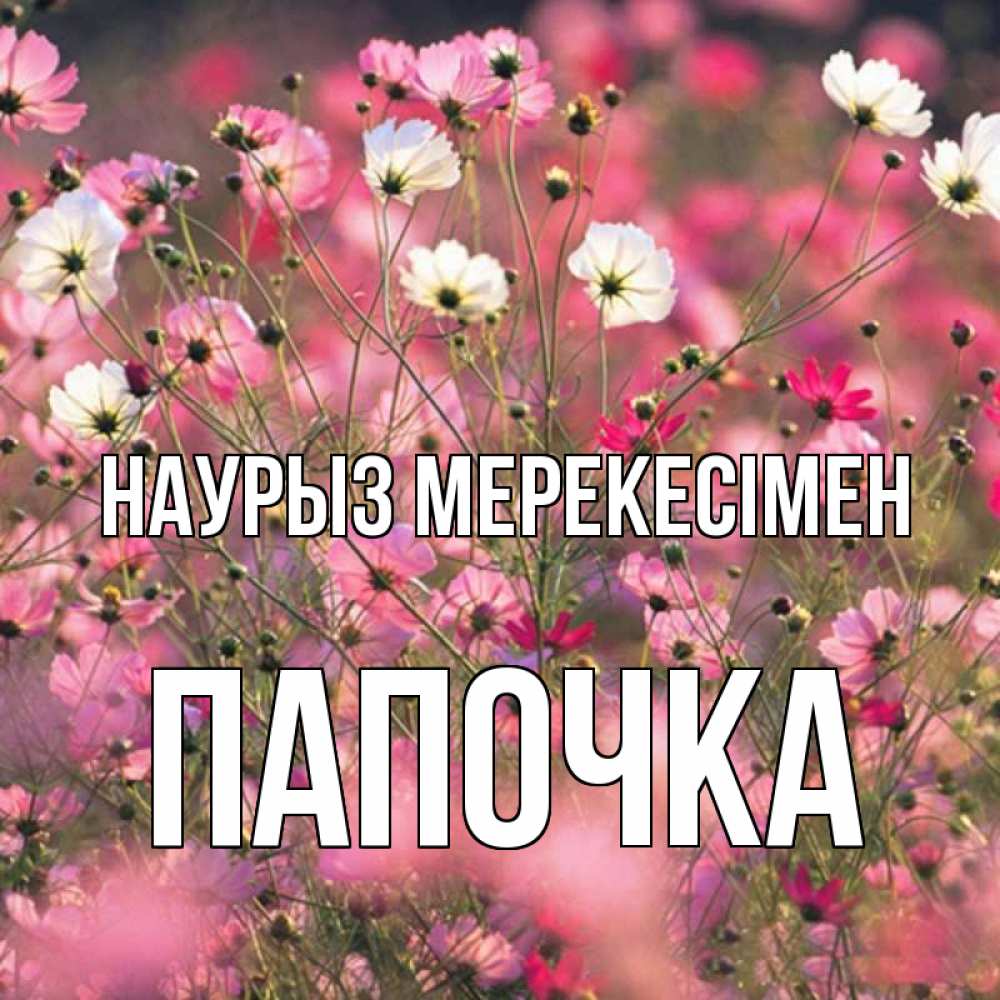 Күн сайын ашық хат с именем, Папочка Наурыз мерекесімен красиво 1 Онлайн тегін жүктеп алу тілектері бар керемет карта 