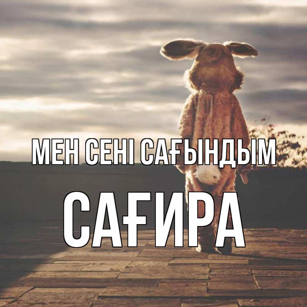 Күн сайын ашық хат с именем, САҒИРА Мен сені сағындым даже в костюме зайца Онлайн тегін жүктеп алу тілектері бар керемет карта 