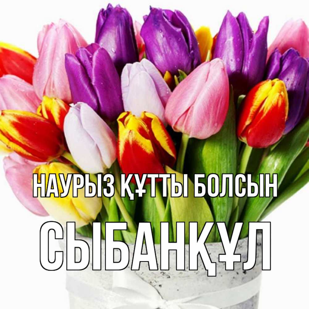 Күн сайын ашық хат с именем, СЫБАНҚҰЛ Наурыз құтты болсын букет Онлайн тегін жүктеп алу тілектері бар керемет карта 
