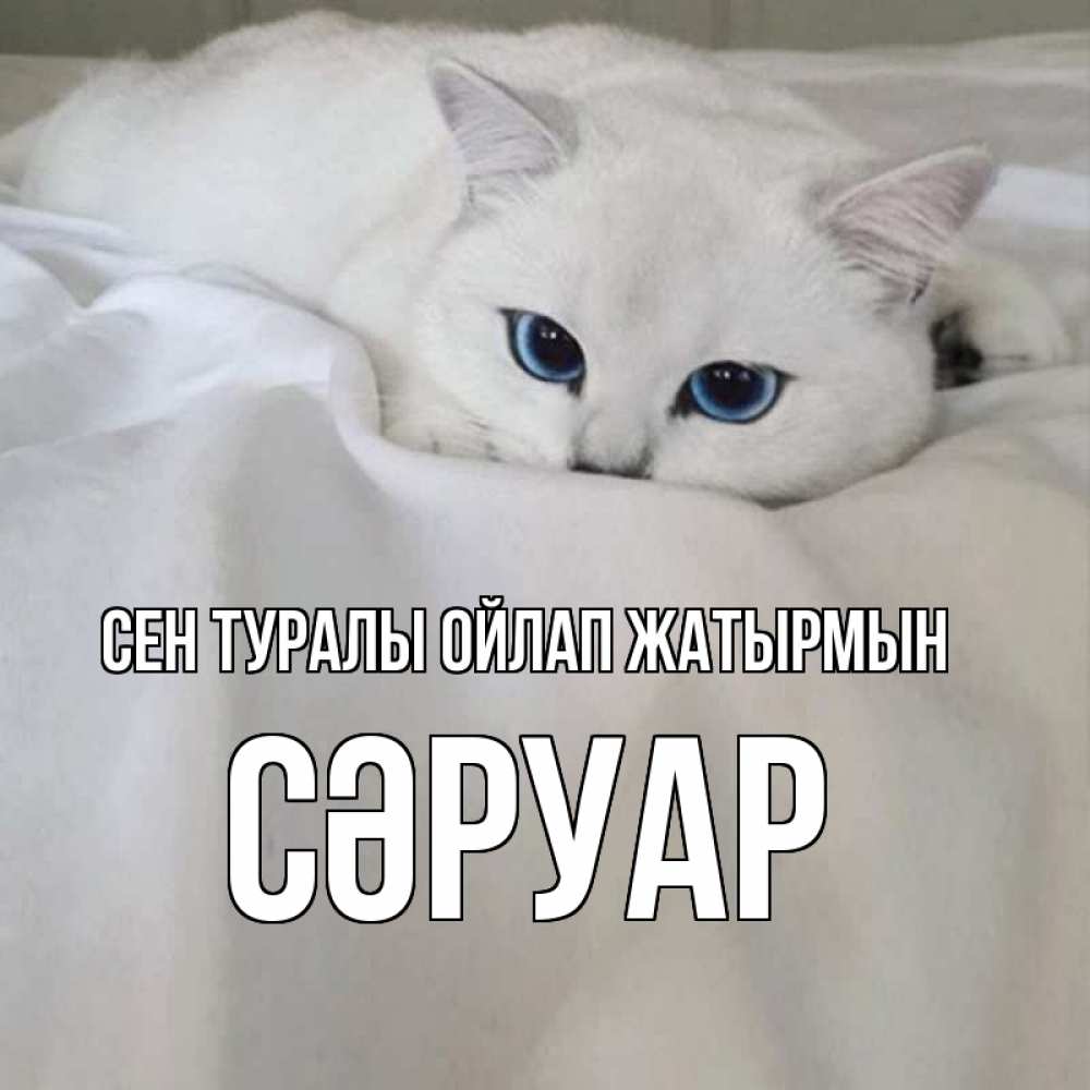 Күн сайын ашық хат с именем, СӘРУАР Сен туралы ойлап жатырмын я очень по тебе скучаю и тоскую Онлайн тегін жүктеп алу тілектері бар керемет карта 