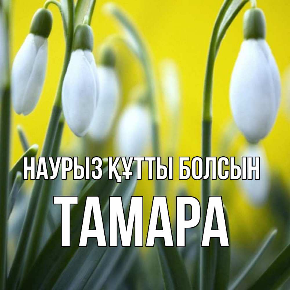 Күн сайын ашық хат с именем, ТАМАРА Наурыз құтты болсын весенние цветы Онлайн тегін жүктеп алу тілектері бар керемет карта 