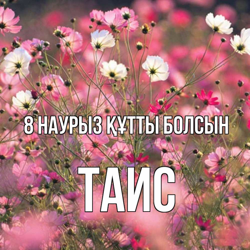 Күн сайын ашық хат с именем, Таис 8 наурыз құтты болсын красиво 1 Онлайн тегін жүктеп алу тілектері бар керемет карта 