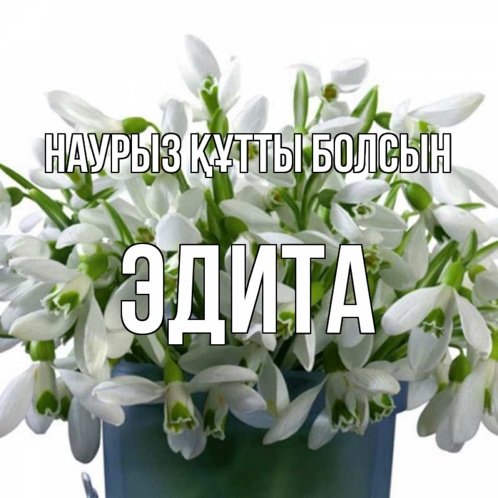 Күн сайын ашық хат с именем, Эдита Наурыз құтты болсын цветы к наурызу Онлайн тегін жүктеп алу тілектері бар керемет карта 