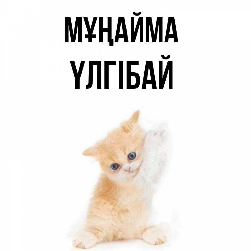 Күн сайын ашық хат с именем, ҮЛГІБАЙ Мұңайма просящий кот Онлайн тегін жүктеп алу тілектері бар керемет карта 