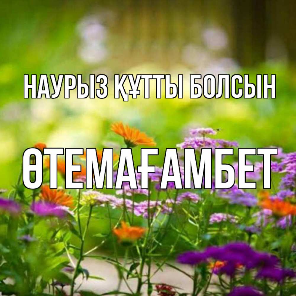 Күн сайын ашық хат с именем, ӨТЕМАҒАМБЕТ Наурыз құтты болсын цветы Онлайн тегін жүктеп алу тілектері бар керемет карта 