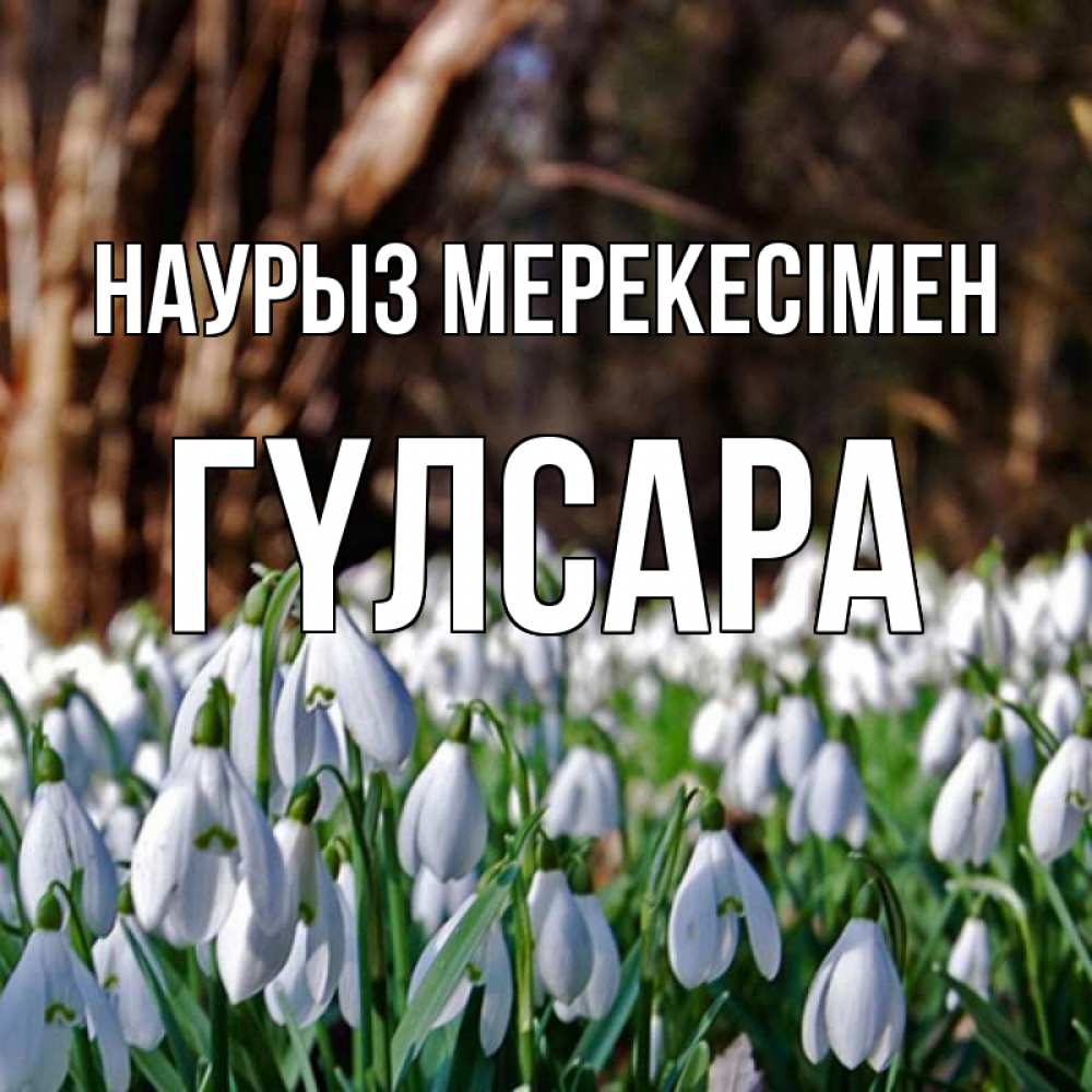 Күн сайын ашық хат с именем, ГҮЛСАРА Наурыз мерекесімен с подснежниками 1 Онлайн тегін жүктеп алу тілектері бар керемет карта 