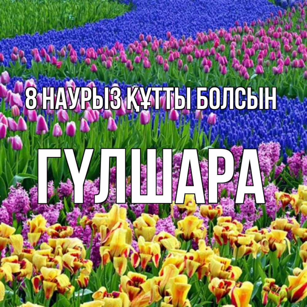 Күн сайын ашық хат с именем, ГҮЛШАРА 8 наурыз құтты болсын цветы Онлайн тегін жүктеп алу тілектері бар керемет карта 