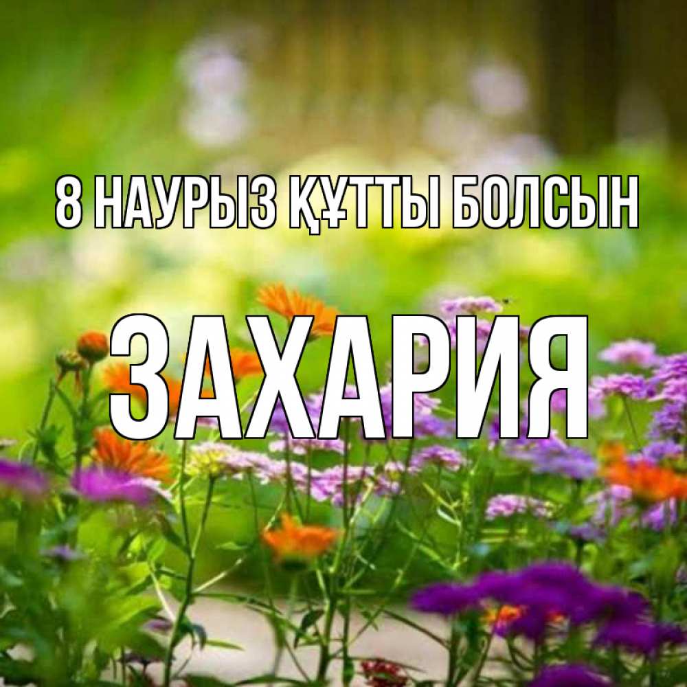 Күн сайын ашық хат с именем, Захария 8 наурыз құтты болсын цветы Онлайн тегін жүктеп алу тілектері бар керемет карта 