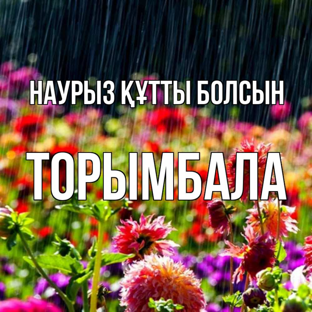 Күн сайын ашық хат с именем, ТОРЫМБАЛА Наурыз құтты болсын цветы под дождиком к наурызу Онлайн тегін жүктеп алу тілектері бар керемет карта 