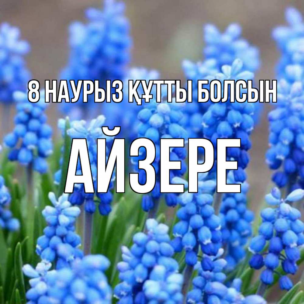 Күн сайын ашық хат с именем, АЙЗЕРЕ 8 наурыз құтты болсын Поздравительная открытка для женщин с цветами на праздничную дату Онлайн тегін жүктеп алу тілектері бар керемет карта 