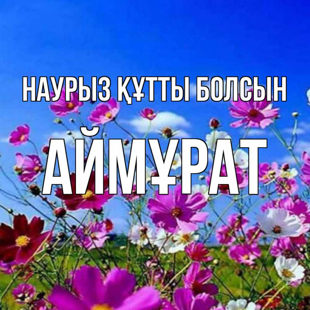 Күн сайын ашық хат с именем, Аймұрат Наурыз құтты болсын цветы Онлайн тегін жүктеп алу тілектері бар керемет карта 