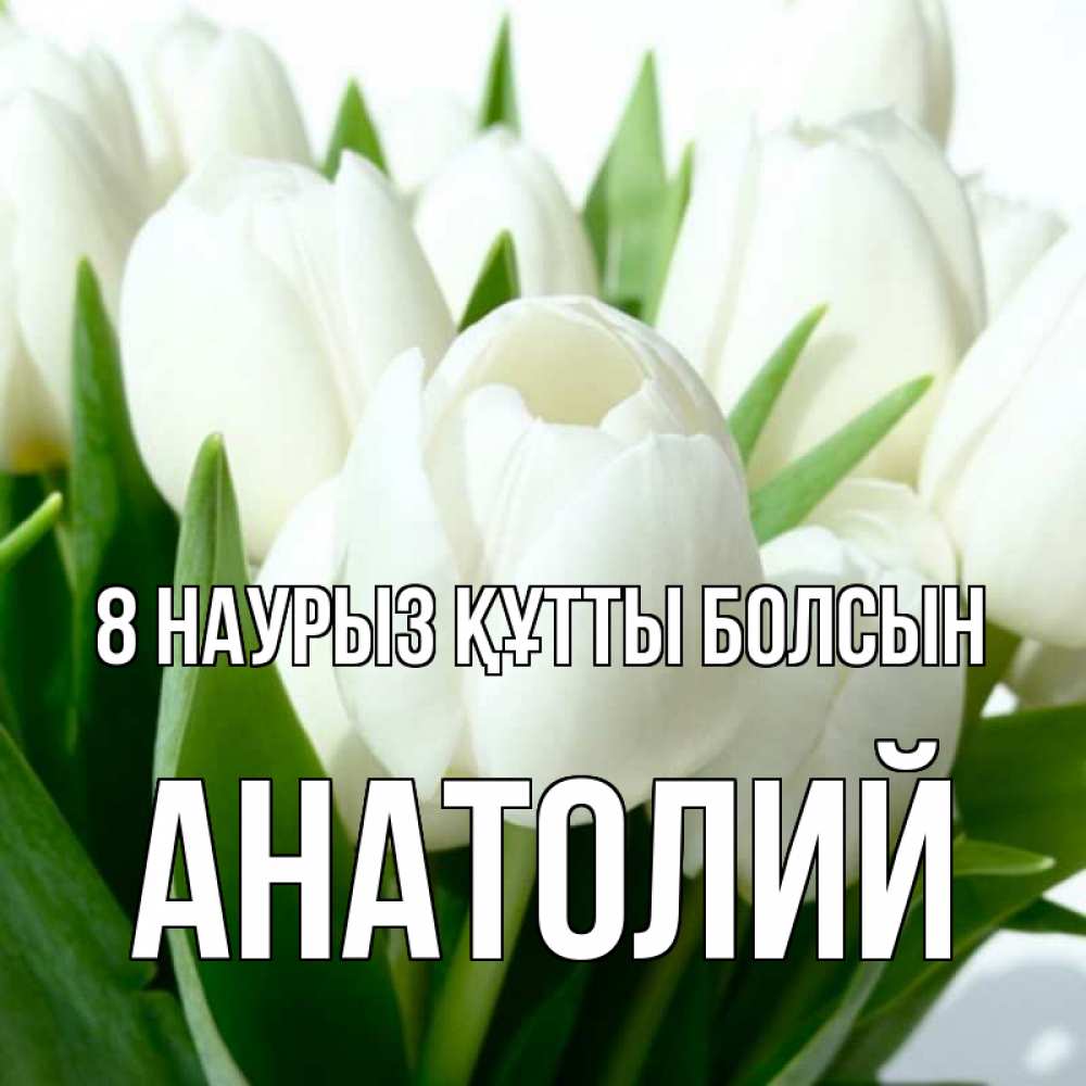 Күн сайын ашық хат с именем, Анатолий 8 наурыз құтты болсын цветы Онлайн тегін жүктеп алу тілектері бар керемет карта 
