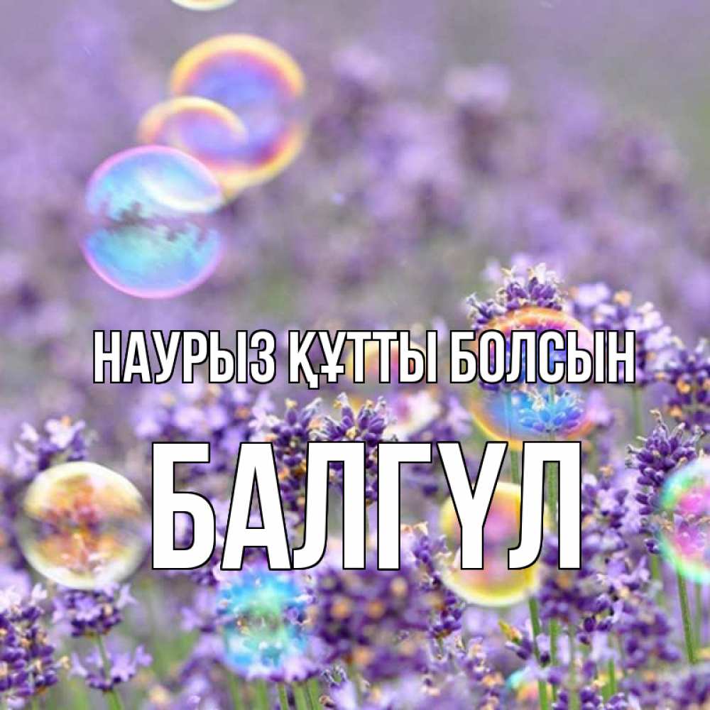 Күн сайын ашық хат с именем, БАЛГҮЛ Наурыз құтты болсын цветы Онлайн тегін жүктеп алу тілектері бар керемет карта 