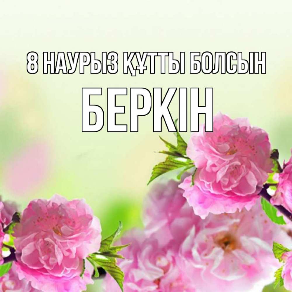 Күн сайын ашық хат с именем, Беркін 8 наурыз құтты болсын цветы Онлайн тегін жүктеп алу тілектері бар керемет карта 
