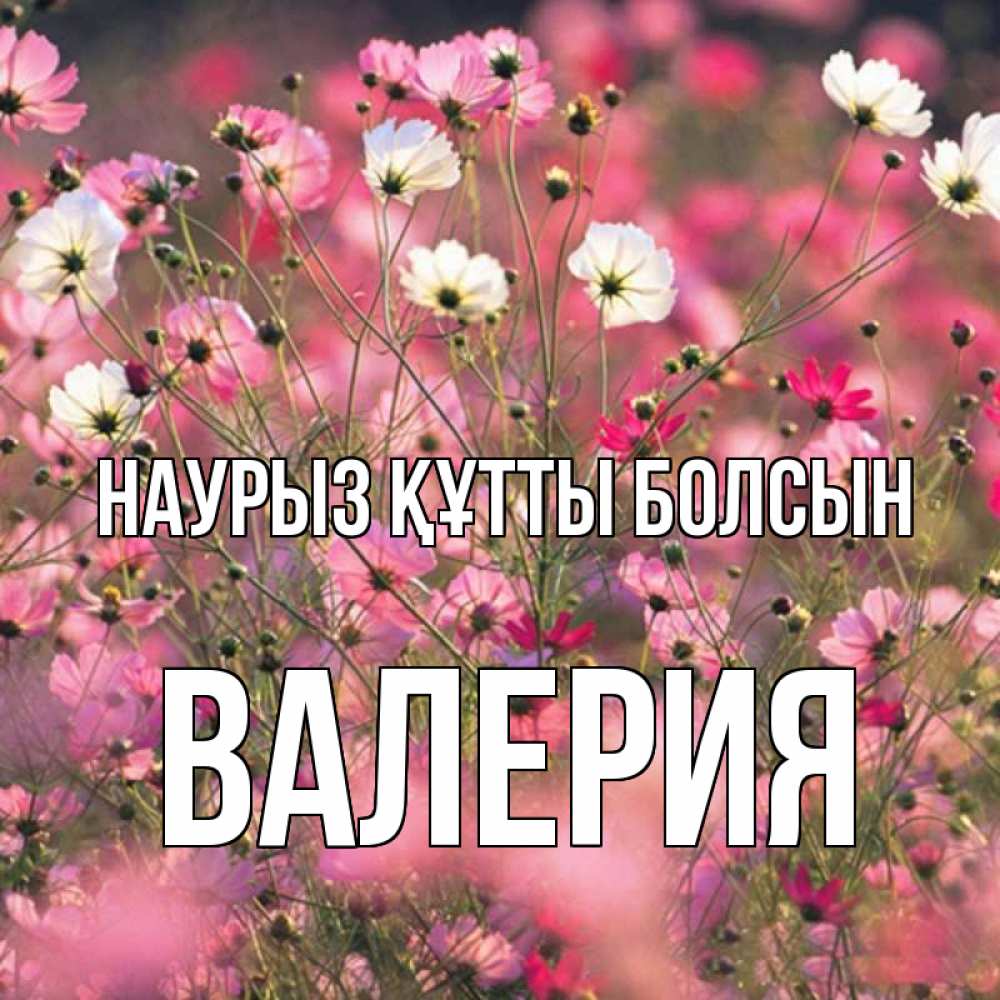 Күн сайын ашық хат с именем, Валерия Наурыз құтты болсын красиво 1 Онлайн тегін жүктеп алу тілектері бар керемет карта 
