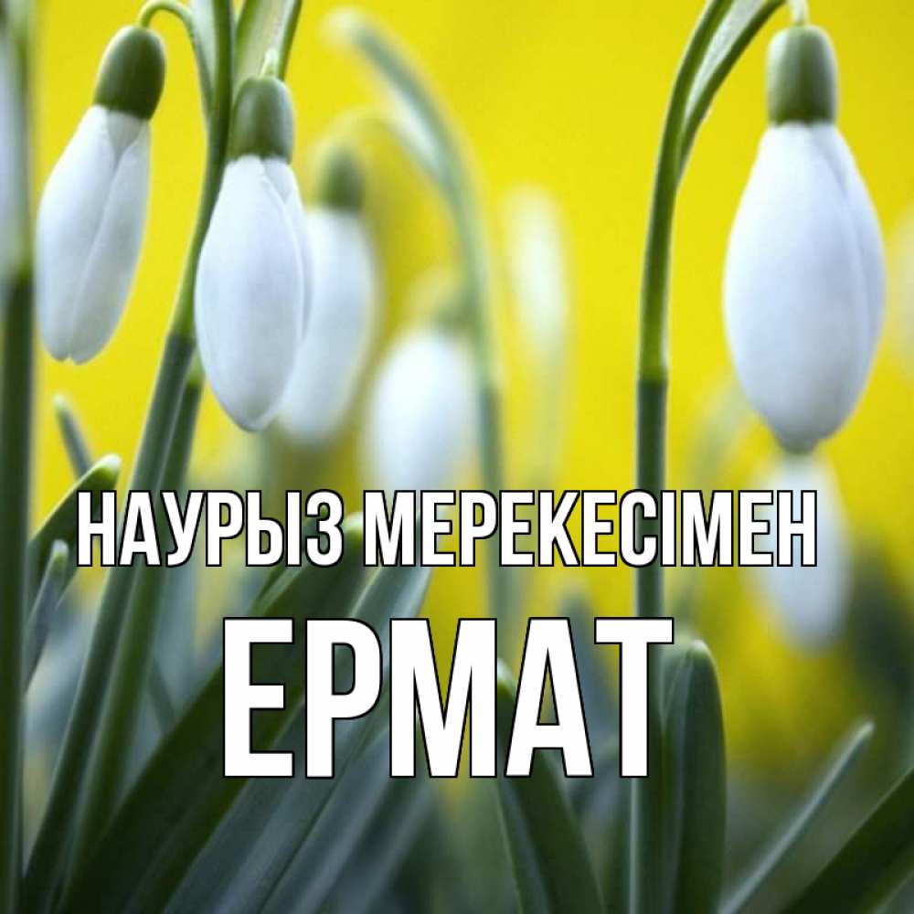 Күн сайын ашық хат с именем, Ермат Наурыз мерекесімен весенние цветы Онлайн тегін жүктеп алу тілектері бар керемет карта 