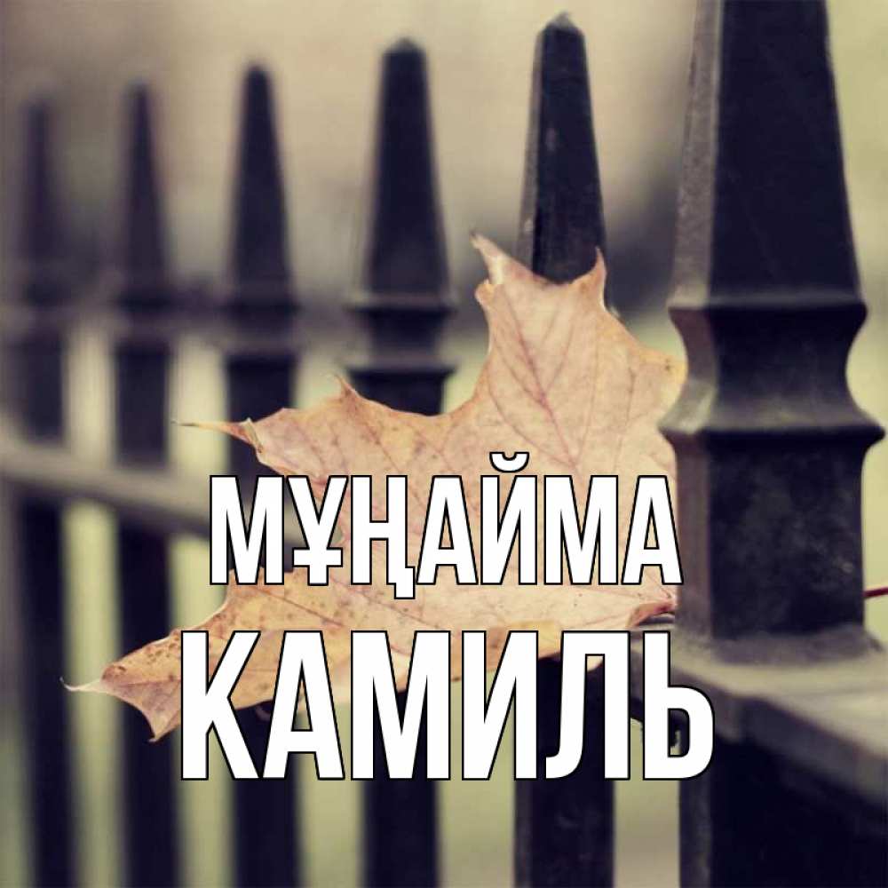 Күн сайын ашық хат с именем, Камиль Мұңайма лист клена Онлайн тегін жүктеп алу тілектері бар керемет карта 