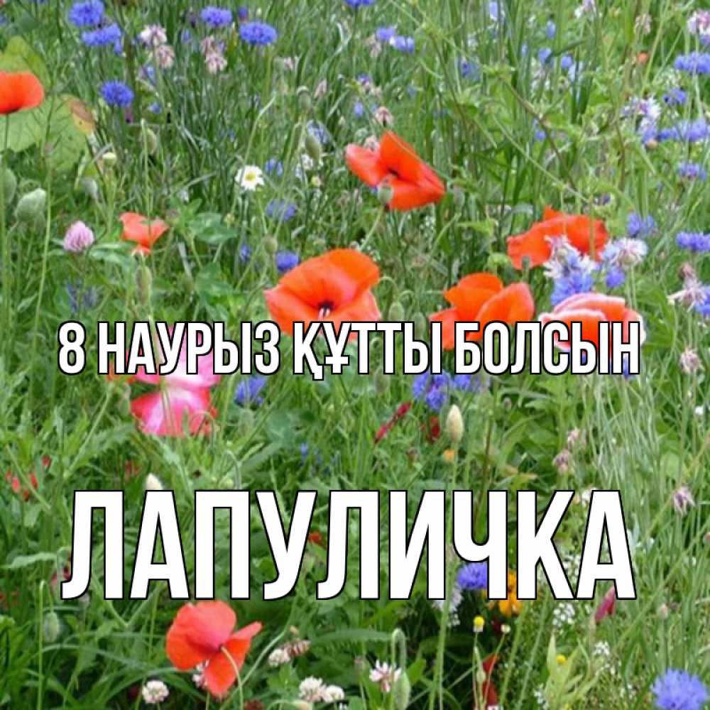 Күн сайын ашық хат с именем, Лапуличка 8 наурыз құтты болсын международный женский день 4 Онлайн тегін жүктеп алу тілектері бар керемет карта 