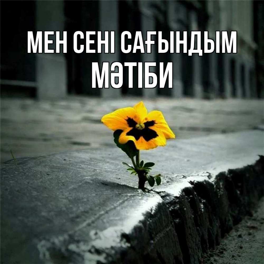 Күн сайын ашық хат с именем, МӘТІБИ Мен сені сағындым надеюсь будет лучше Онлайн тегін жүктеп алу тілектері бар керемет карта 