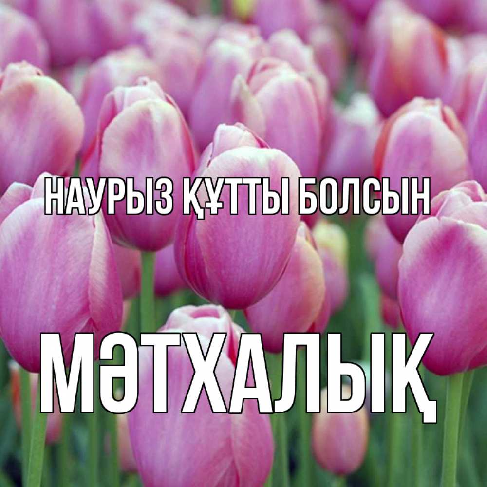 Күн сайын ашық хат с именем, МӘТХАЛЫҚ Наурыз құтты болсын на наурыз  день 3 Онлайн тегін жүктеп алу тілектері бар керемет карта 