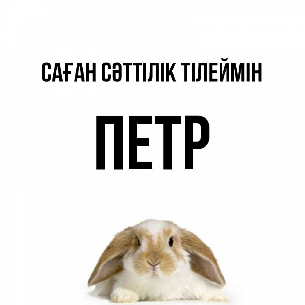 Күн сайын ашық хат с именем, Петр Саған сәттілік тілеймін открытки с произвольным текстом который можно вставить в открытку и создать ее самостоятельно бесплатно онлайн Онлайн тегін жүктеп алу тілектері бар керемет карта 
